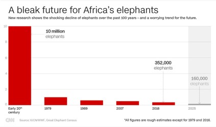 elephants-populations