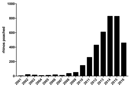 braconnage-rhinoceros-kruger