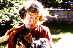 2014-06-13_0-940x626