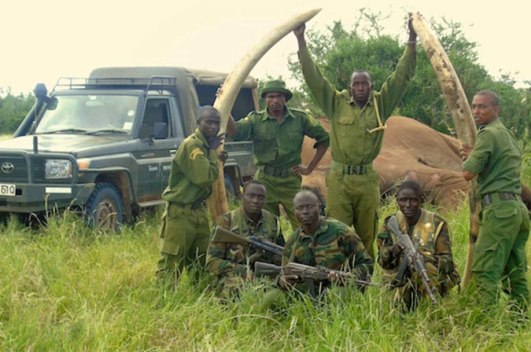 les défenses de satao 2