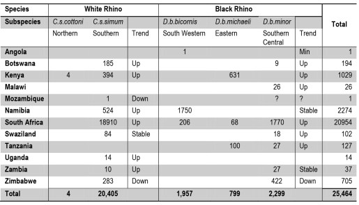 population rhinoceros noir 2013