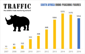 south-africa-rhino-stats-2017