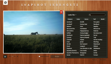 snapshot serengeti.png