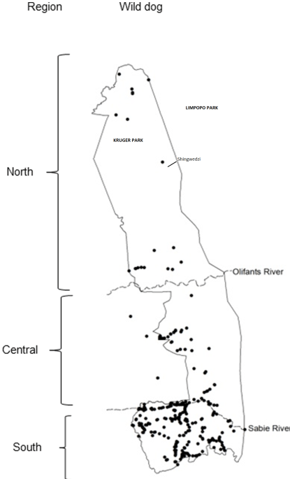 presence de lycaons kruger.png